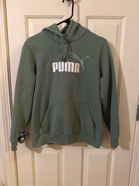 Puma Other - Puma Boys Sage Green Logo Hoodie